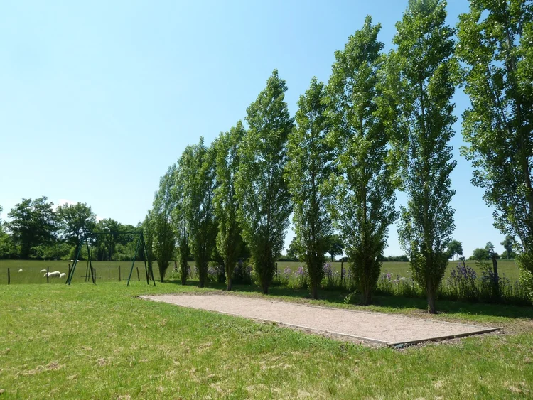 Le terrain de boules