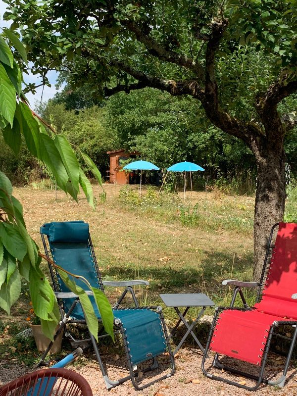 Les transats sous les arbres